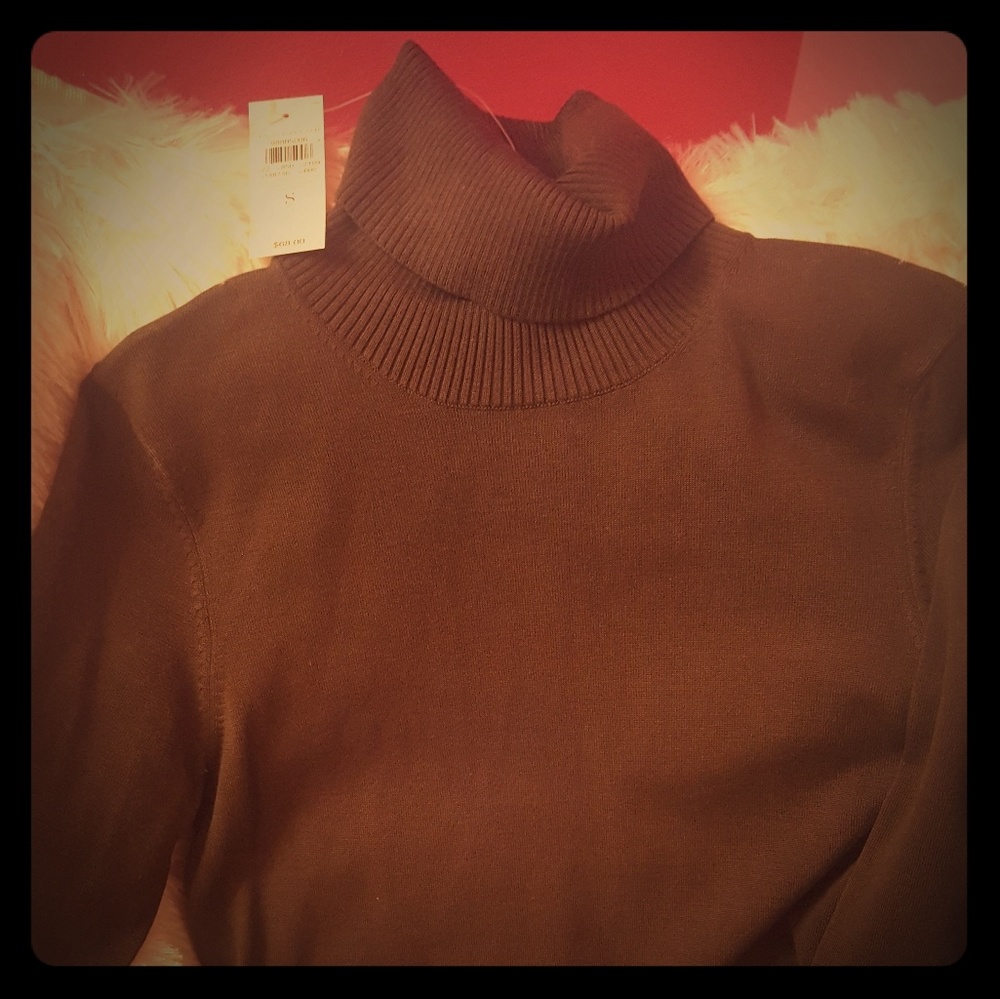 New Ann Taylor sweater